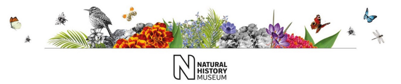 Natural Color Showroom Farrow & Ball München